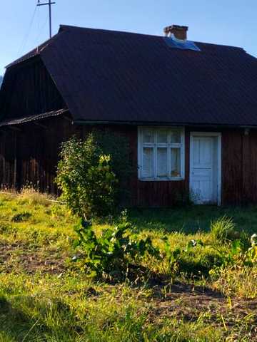 Грушевського, 31