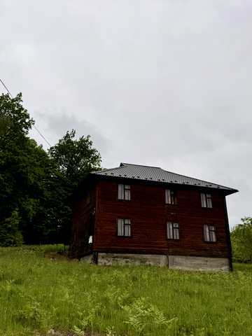Волійця