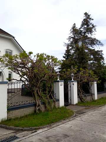 Старокиївська вул., 56