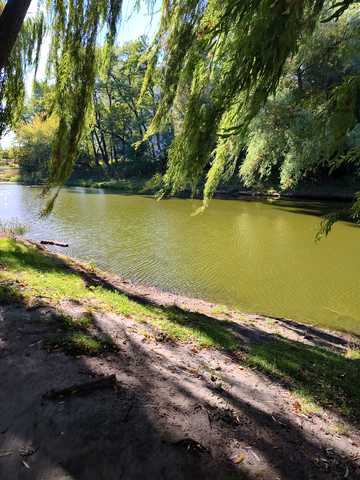 Докії Гуменної вул. (Юрія Смолича), 4