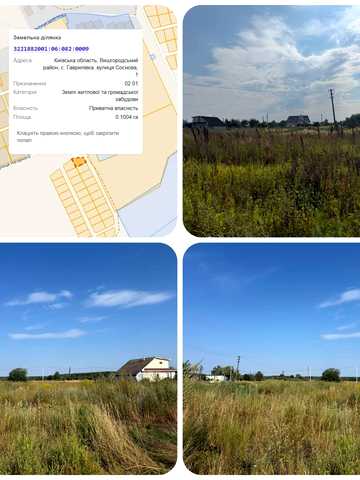 Соснова, 1