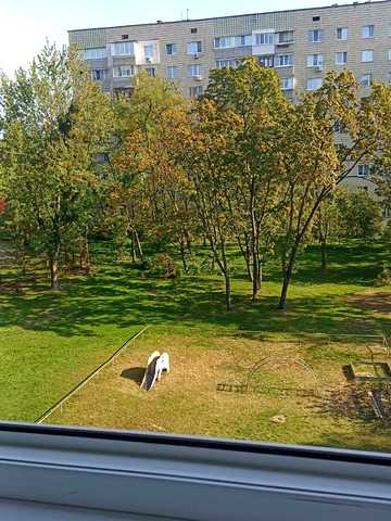 Андрія Малишка вул., 27