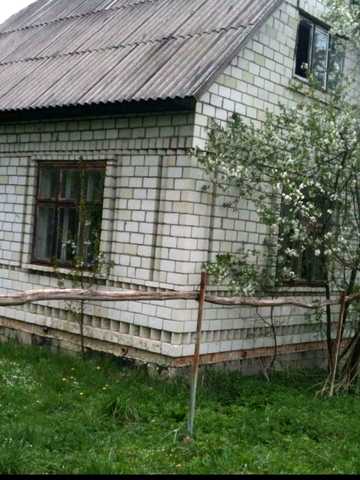 СТ Фіалка