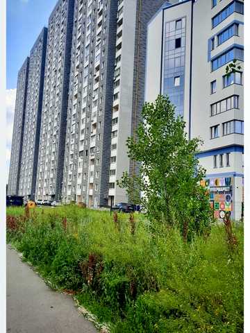 Ревуцького вул., 54-Б