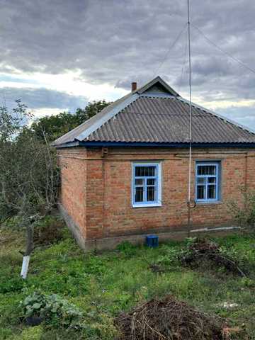 Центральна, 31