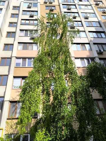 Щоглова вул., 17
