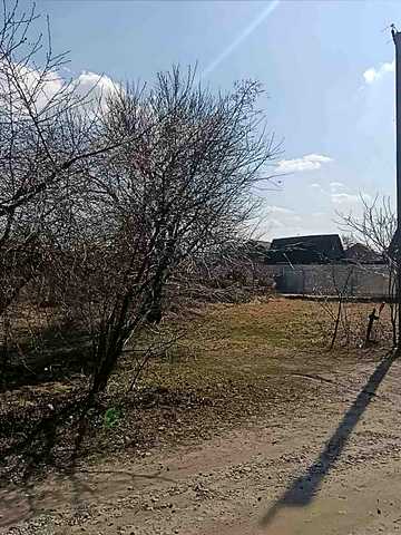 Бажана, 12