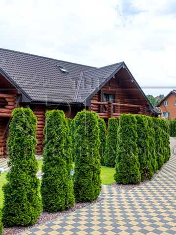 Квітки-Основ'яненка вул., 47
