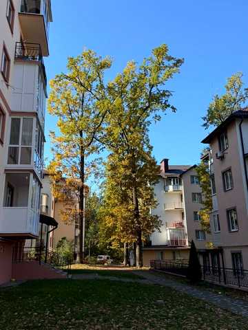 Академіка Ромоданова вул. (Льва Толстого), 54