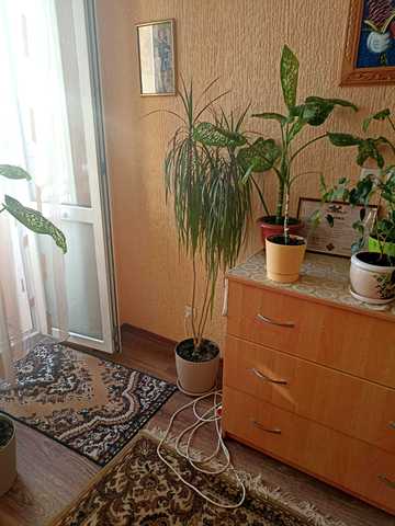 Київська вул., 146