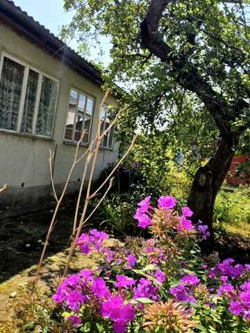 Лева Галицького вул., 52