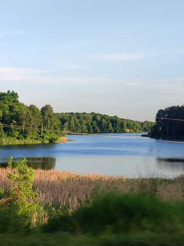 Польова