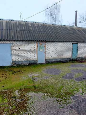Центральна