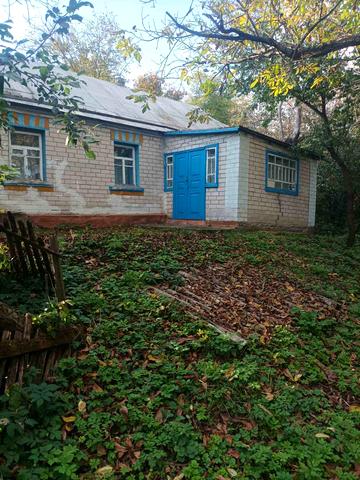 Ярова, 51