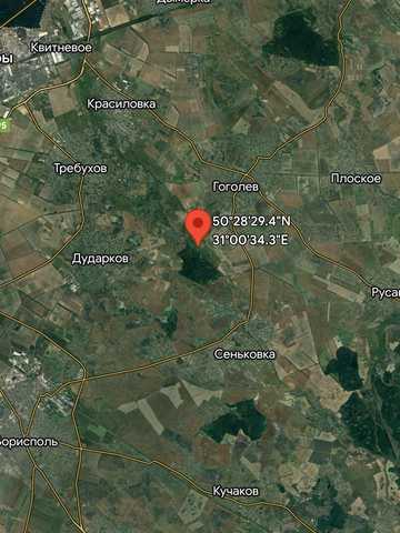 Займище, Бориспільський, Київська область 2000 USD