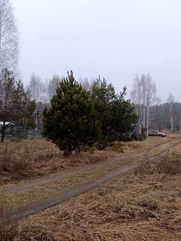 Козаровичі, Вишгородський, Київська область 160000 USD