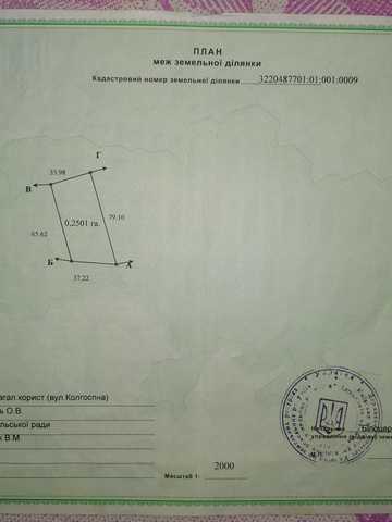 центральна, 5