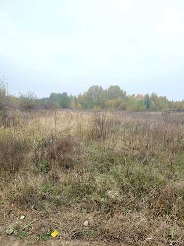 Богунський, Житомир, Житомирська область 5000 USD