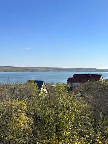 Щорсове