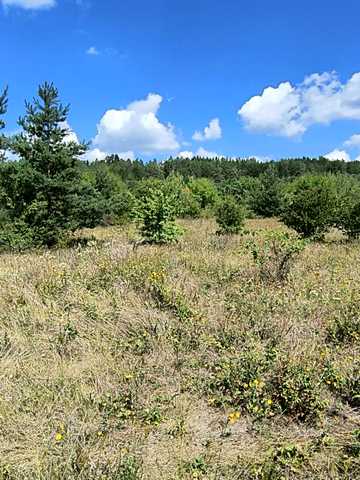 Рудківці, Кам'янець-подільський, Хмельницька область 6500 USD