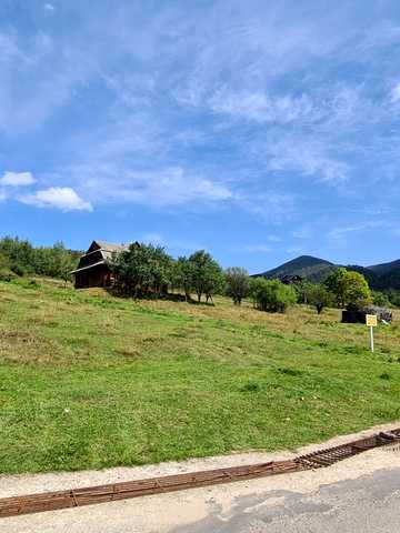 Піги