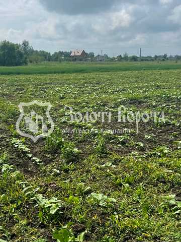Старокиївська, 103