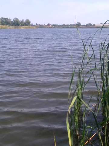 Вільне