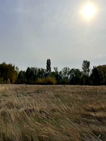 Погреби, Броварський, Київська область 110000 USD