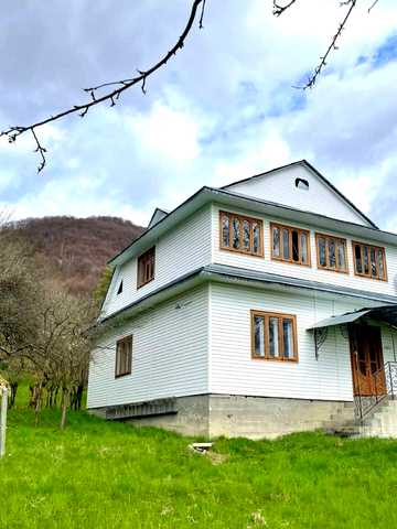 Черемшини