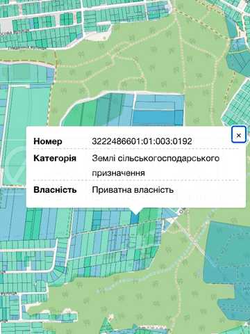 Нове, Фастівський, Київська область 146000 USD