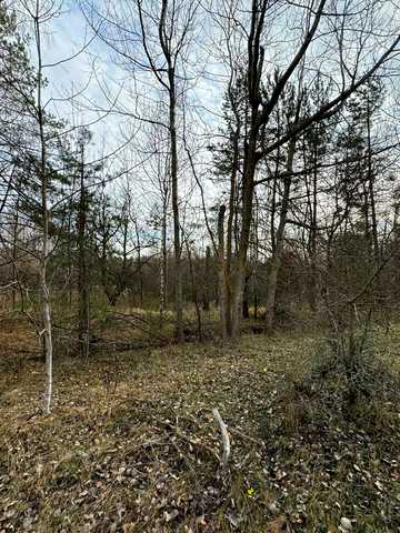 Ніжиловичі, Бучанський, Київська область 20000 USD