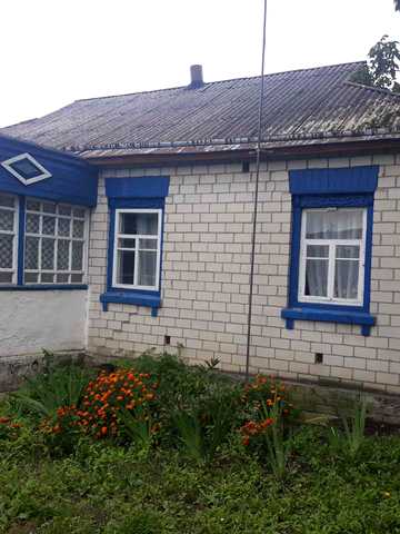 Ватутіна, 19
