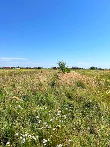 Красне, Золочівський, Львівська область 400000 UAH