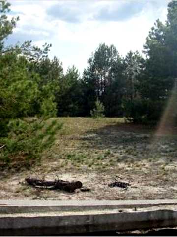 Ясногородка, Вишгородський, Київська область 7000 USD