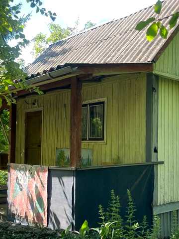 Лісова