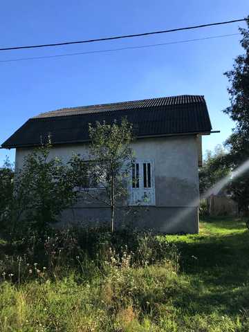 липова