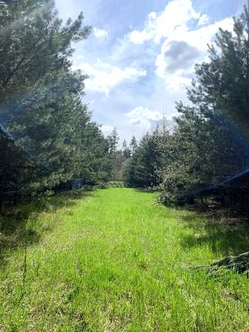 Ясногородка, Фастівський, Київська область 15000 USD
