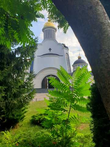 Дмитра Луценка вул. (Крейсера "Аврора"), 9