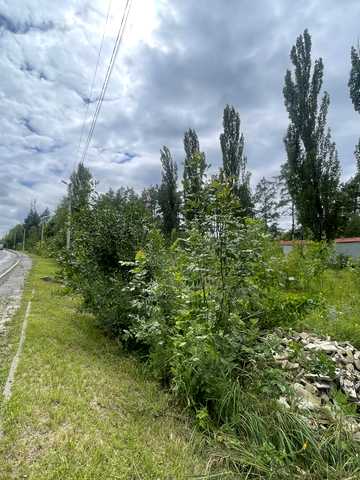 Звенигородська, 101-А