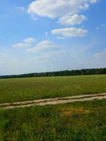 лісова