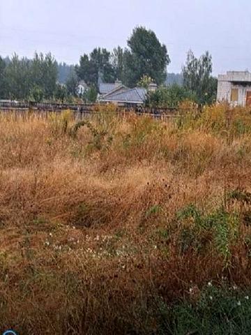 Березівка, Бучанський, Київська область 30000 USD