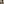 квартира по адресу с. Яблоница, Довгий Грун