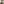 квартира за адресою Щусєва вул., 19/11