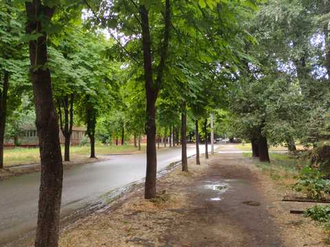 квартира за адресою Степана Тільги вул. (Революційна), 41