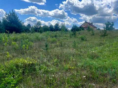 ділянка за адресою Лісова