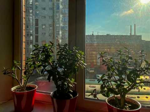 комерційна за адресою Королеви Єлизавети ІІ вул. (Глинки), 1