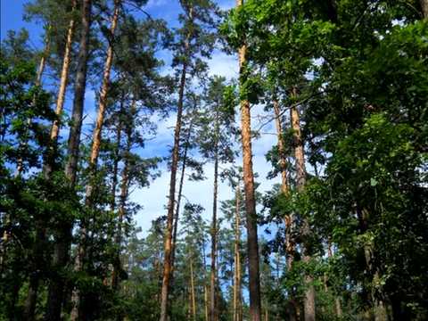 ділянка за адресою Лугова вул.