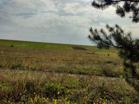 участок по адресу Тараса Шевченка