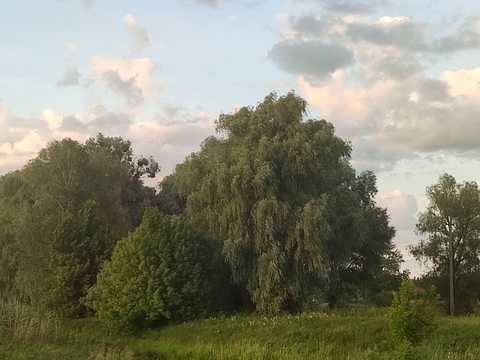 участок по адресу Першотравнева
