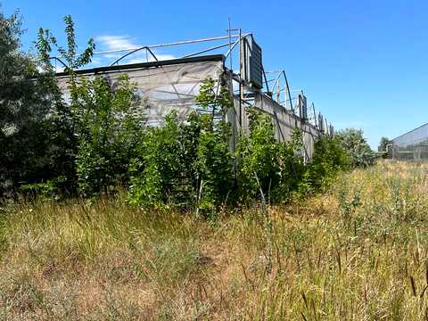 коммерческая по адресу Центральная ул., 1